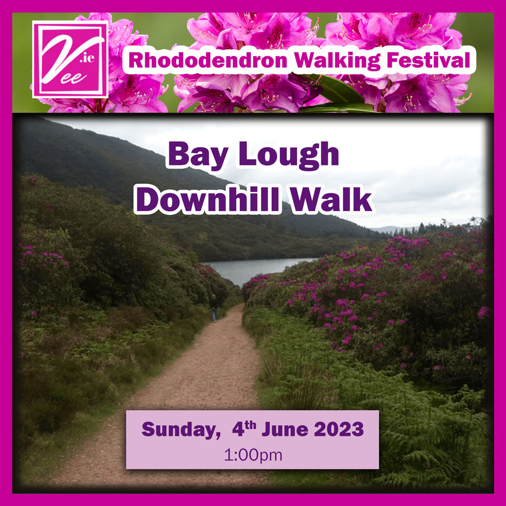 Walk 6: Bay Lough Downhill Walk - Vee.ie