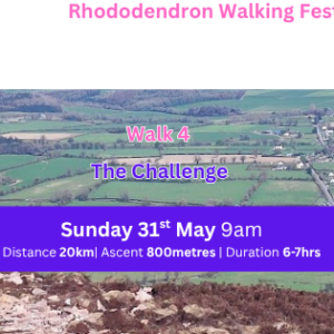 Walk 4 : The Challenge